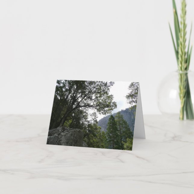 Morgens auf dem Weg zu den Vernal Falls in Yosemit (Vorderseite)