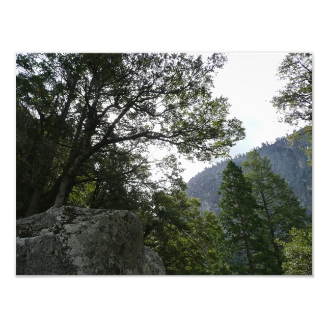 Morgens auf dem Weg zu den Vernal Falls in Yosemit Fotodruck (Vorne)