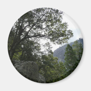 Morgens auf dem Weg zu den Vernal Falls in Yosemit Magnet