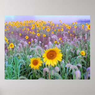 Morgens, drucken poster