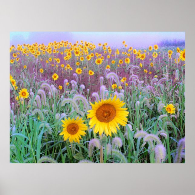 Morgens, drucken poster (Vorne)