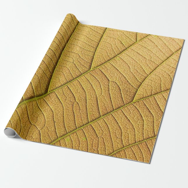 Morgens goldgelbes Blatt Muster.  Geschenkpapier (Ungerollt)