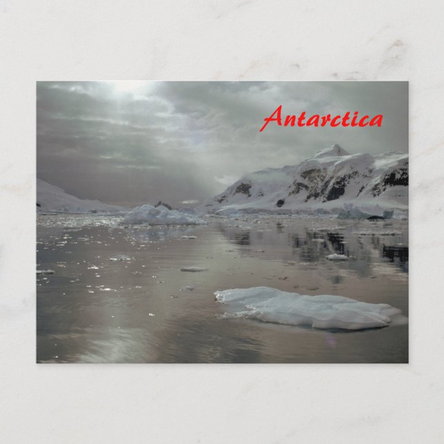 Morgens in der Antarktis Postkarte (Vorderseite)