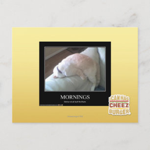 Morgens Postkarte