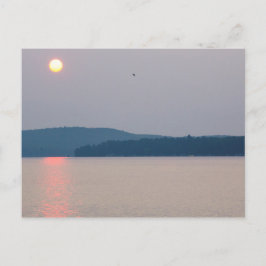 Morgens über den Elk Lake, Michigan Postkarte