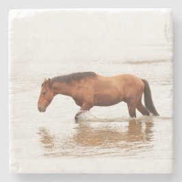 Morgenschwimmen für ein Pferd Steinuntersetzer