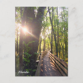 Morgensonnenaufgang in Florida Postkarte