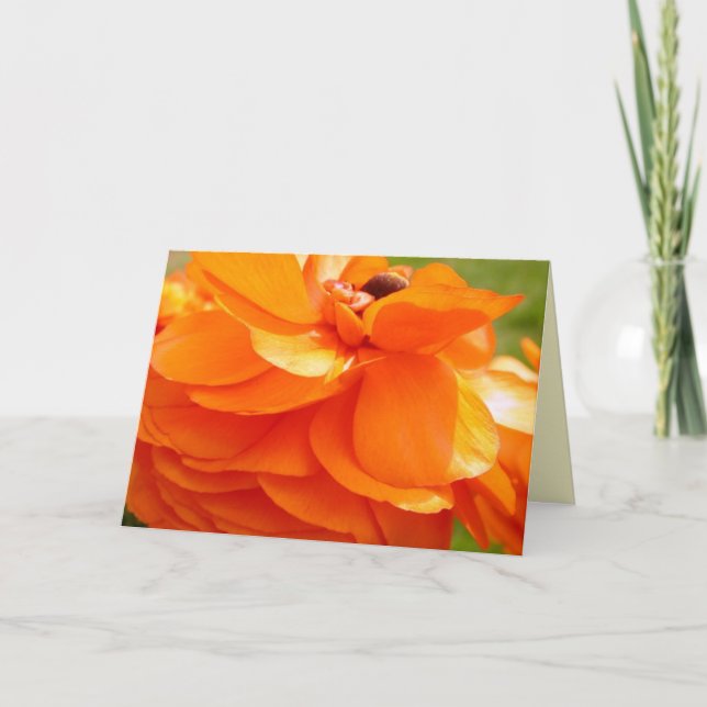 Morgensonnenlicht Karte (Vorderseite)