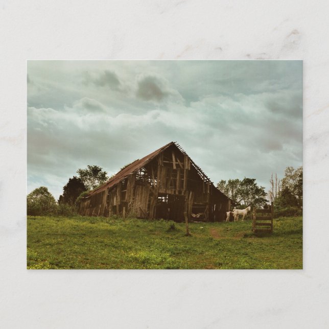 Morgenstall Postkarte (Vorderseite)