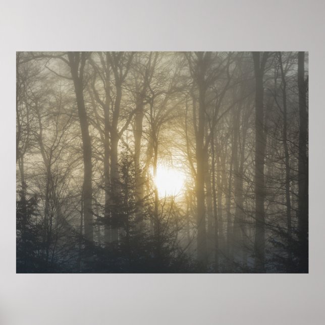 Morgenstimmung Poster (Vorne)