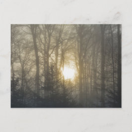 Morgenstimmung Postkarte