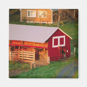 Morgenstunden auf dem Bauernhof. USA, Vermont Magnet