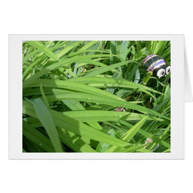 Morgentau (Vorderseite (Horizontal))