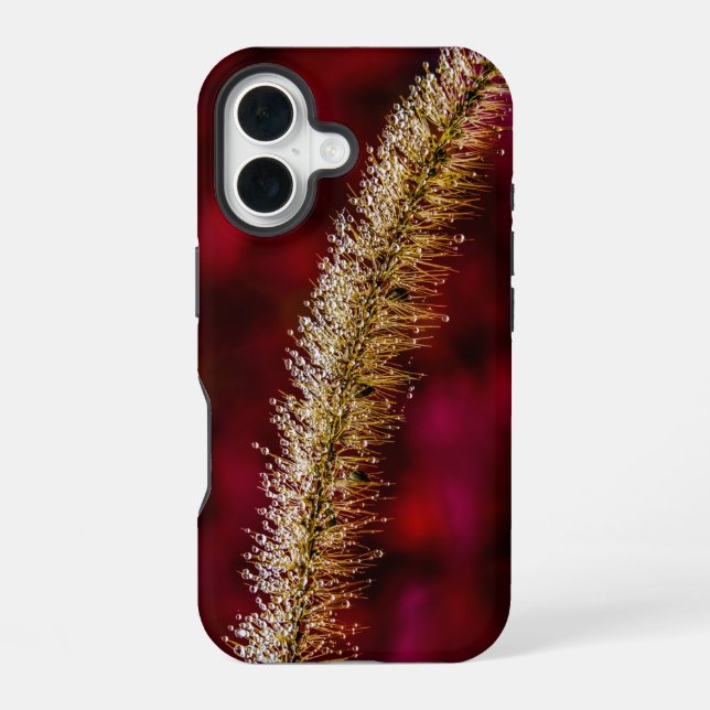 Morgentau iPhone 16 Hülle (Rückseite)