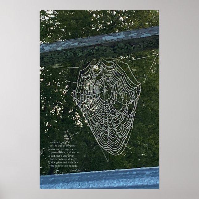 Morgenüberraschung, ein von Tauben bedecktes Spinn Poster (Vorne)