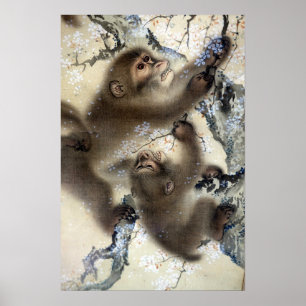 Mori Sosen Affen in einem blühenden Kirschbaum Poster