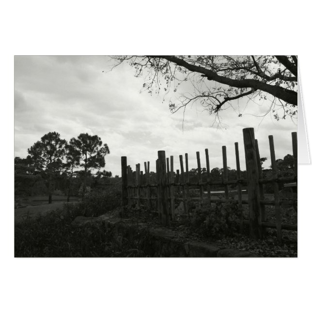 Morikami in Schwarz und Weiß (Vorderseite (Horizontal))