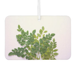 Moringa Blätter mit Textfläche Autolufterfrischer