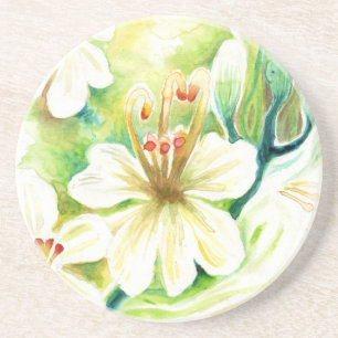Moringa Blume Getränkeuntersetzer