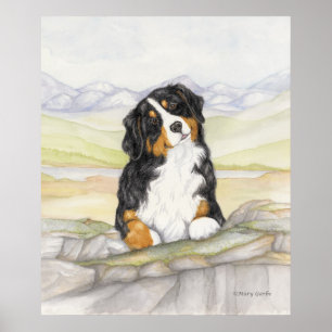 Moritz auf den Felsen Poster