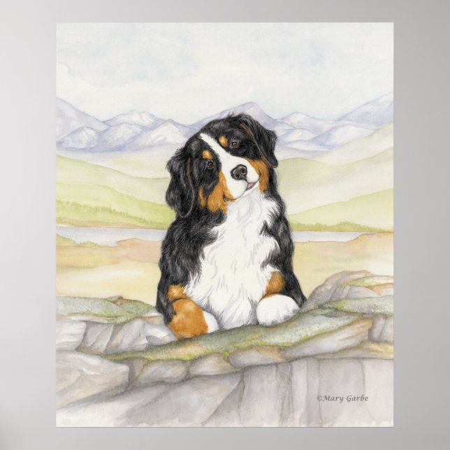 Moritz auf den Felsen Poster (Vorne)