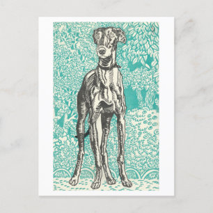Moriz Jung Greyhound-Druck Postkarte