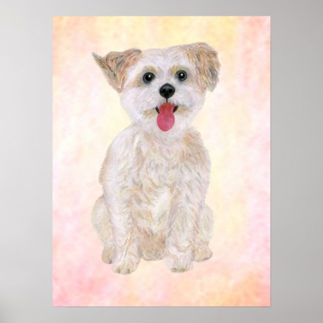 Morkie Dog Print mit farbigem Hintergrund Poster (Vorne)
