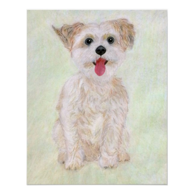 Morkie Hund Glänzendes Poster (Vorderseite)