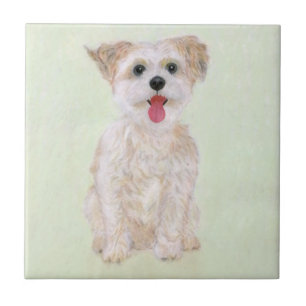 Morkie-Hund-Kachel Fliese