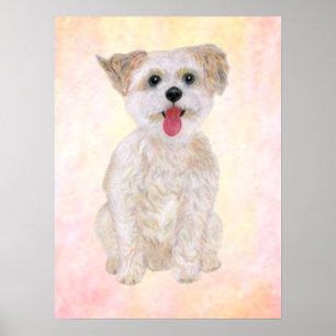 Morkie-Hundedruck mit farbenfrohem Hintergrund Poster