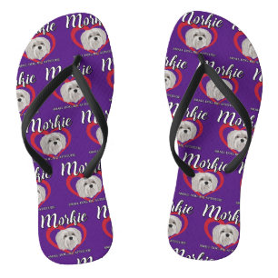 Morkie - Kleiner Hund, große Attitüde - 3 Flip Flops