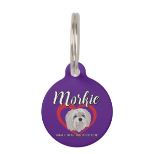 Morkie - Kleiner Hund, große Attitüde - 3 Haustiermarke