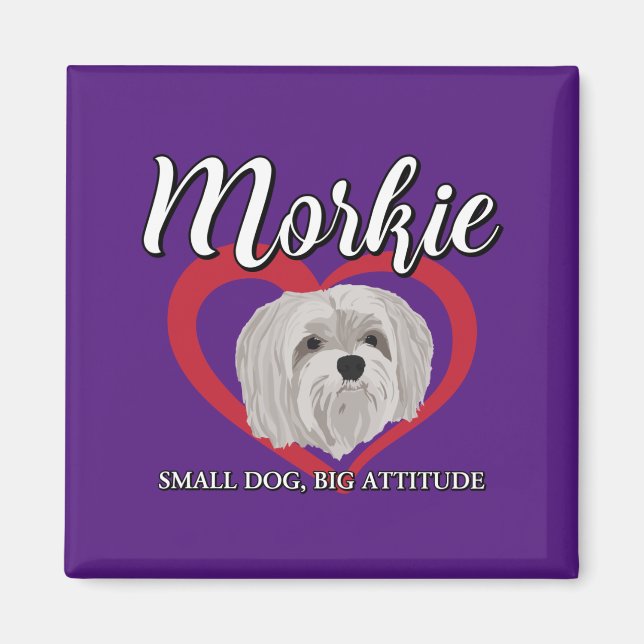 Morkie - Kleiner Hund, große Höhe - 3 Magnet (Vorne)