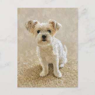 Morkie Liebe Postkarte