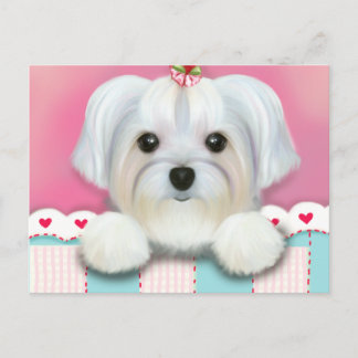 MORKIE SHELLY POSTKARTE