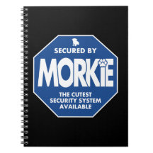 Morkie-Sicherheit-Blau