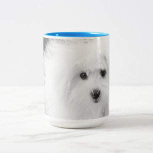 Morkie Tasse