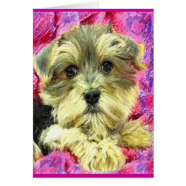 Morkie-Welpenkarte (Vorne)