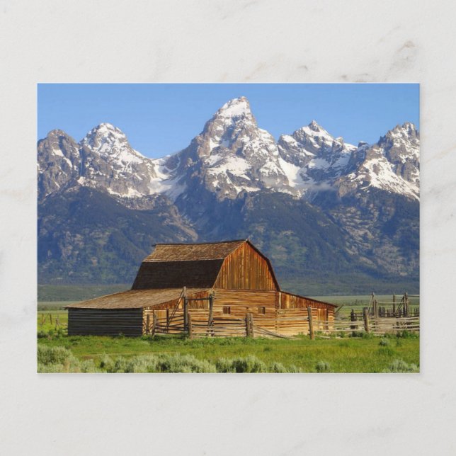 Mormon Barn Postkarte (Vorderseite)
