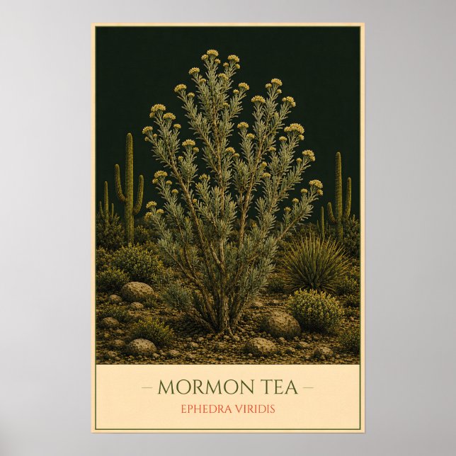 Mormonentee Poster (Vorne)