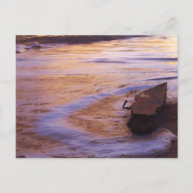 Morning Adrift Postcard Postkarte (Vorderseite)