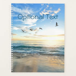 Morning Beach Seagulls Planer
