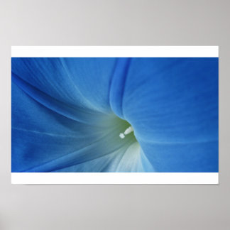 Morning Bloom Poster