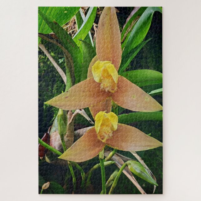 Morning Calm: Blush Petals in Gentle Focus Puzzle (Vertikal)