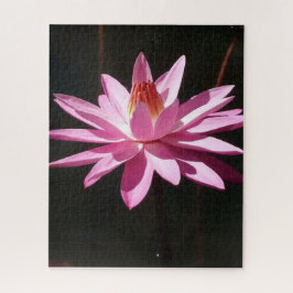 Morning Calm: Pink Lotus in Soft Natural Light Puzzle