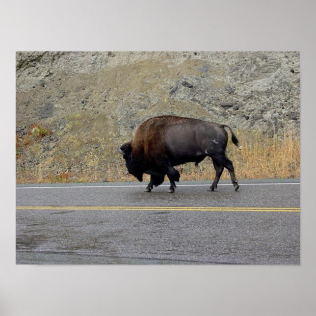 Morning Commute Poster (Vorne)