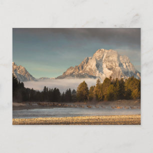 Morning Commute Postkarte