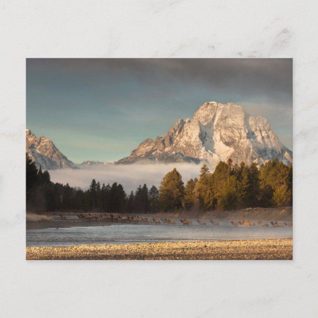 Morning Commute Postkarte (Vorderseite)