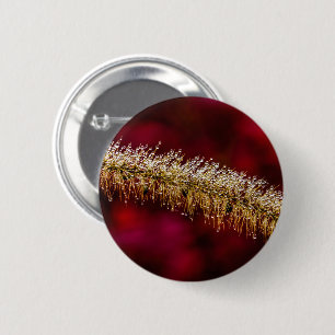 Morning Dew Button