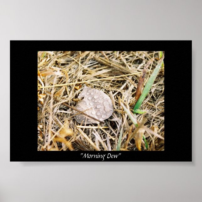 Morning Dew Poster (Vorne)